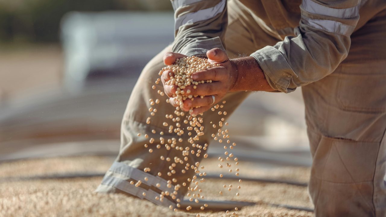 Itapetininga tem crescimento de 411,7% na Exportação de Soja em 2025