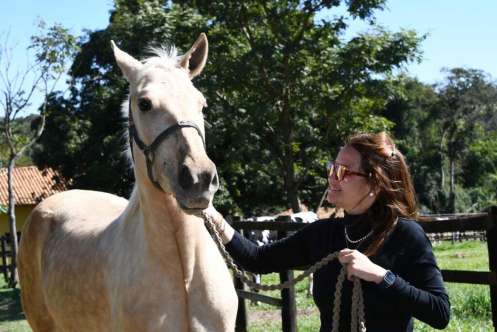 Crianças e adolescentes em processo de adoção contam com Terapia Assistida por Animais para reconstruir confiança e vínculos