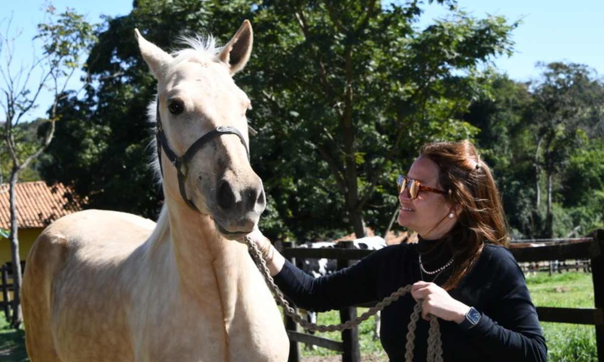 Crianças e adolescentes em processo de adoção contam com Terapia Assistida por Animais para reconstruir confiança e vínculos