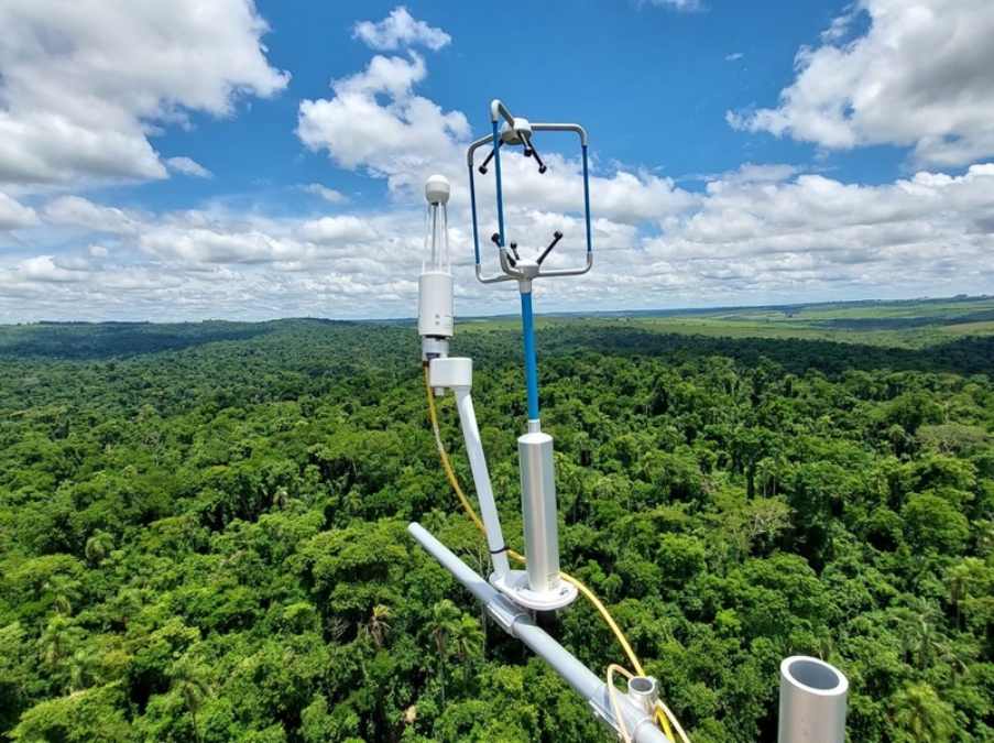 Empresa apoia conservação de 301 mil hectares de vegetação nativa e investe em corredores ecológicos