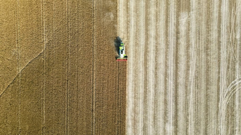 Como o agronegócio do interior paulista vai superar o crédito curto e o clima na transição para 2027