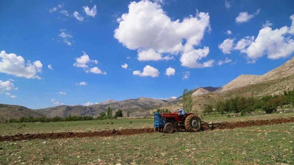 Embrapa faz parceria com chineses para aplicar Inteligência Artificial na Agricultura Familiar