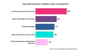 Pesquisa sobre o orçamento do brasileiro
