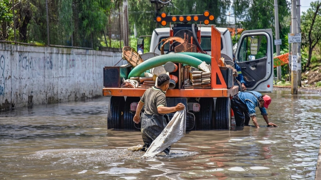Trocar concreto por verde: a mudança urgente que pode livrar moradores de São Paulo do caos dos alagamentos